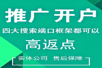 Sem优化公司案例：优化方案定制服务